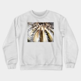 Cactus Crewneck Sweatshirt